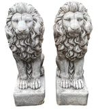 Guardian Lion Statue Concrete Cement Garden Statue Australian Made 75cm