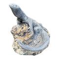 Goanna Basking Lizard tatue Ornament Animal Concrete Garden Australian Made