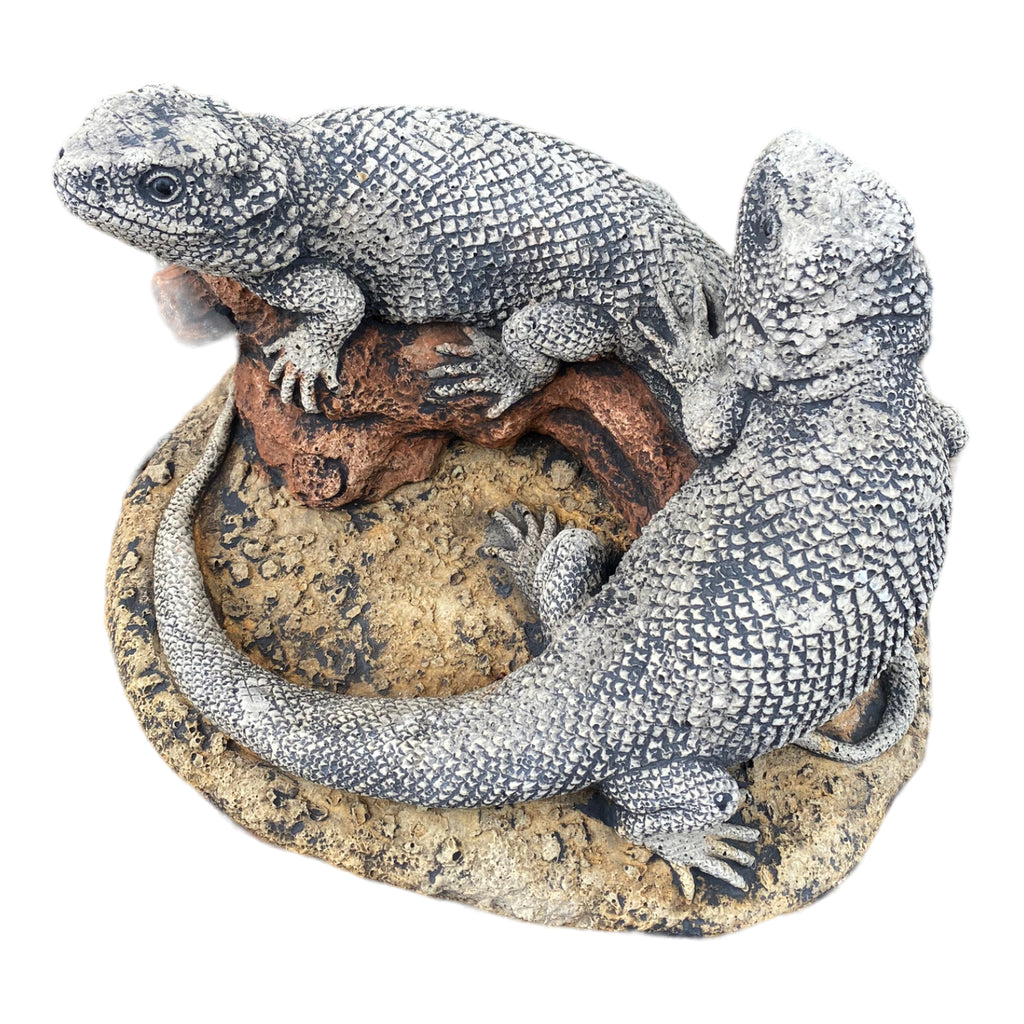 Bearded Dragon Lizard Garden Statue Ornament Animal Concrete Australia Made Pair