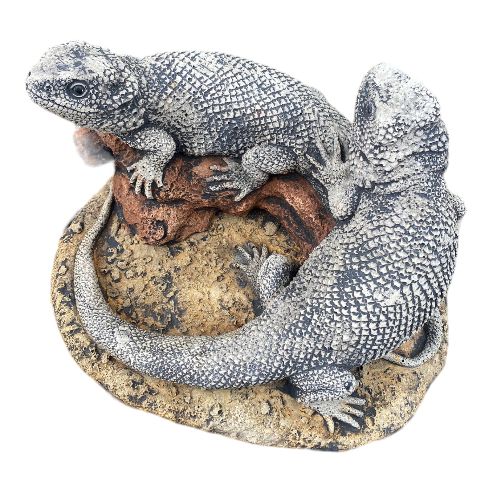 Bearded Dragon Lizard Garden Statue Ornament Animal Concrete Australia Made Pair