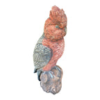 Galah Bird Statue Parrot Ornament Animal Concrete Garden Australian Made