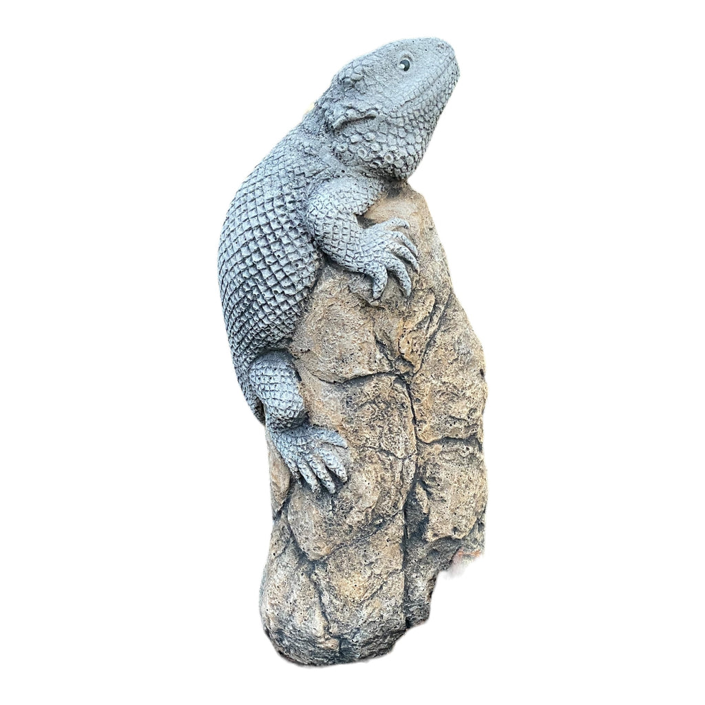 Bearded Dragon Lizard Statue Ornament Animal Concrete Garden Australian Made
