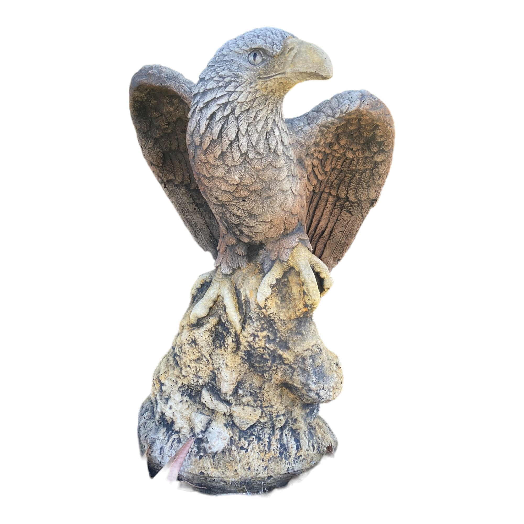 Bold Eagle Bird Statue Ornament Animal Concrete Garden Australian Made