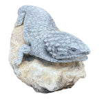 Shingleback Lizard Statue Ornament Animal Cement Concrete Garden Australian Made