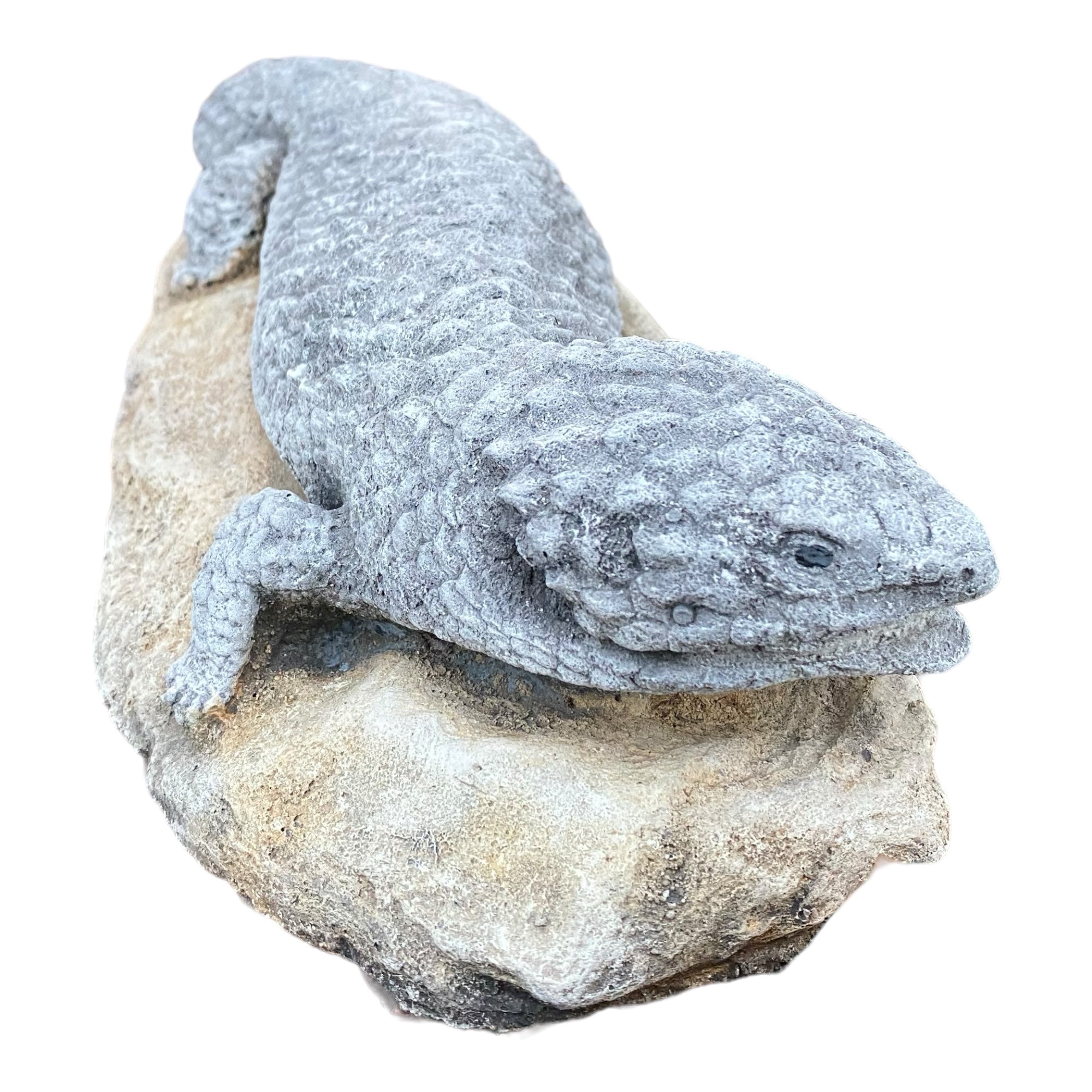 Shingleback Lizard Statue Ornament Animal Cement Concrete Garden Australian Made