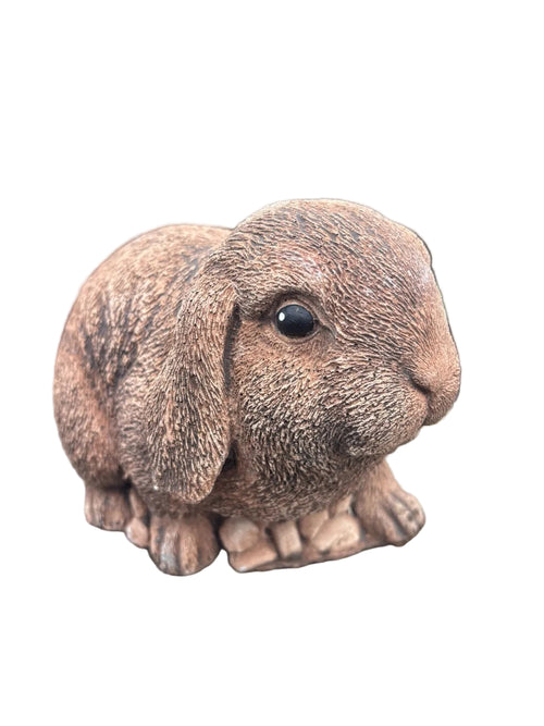 Mini Lop Rabbit concrete garden statue displayed in a landscaped Australian garden amongst flowers and greenery
