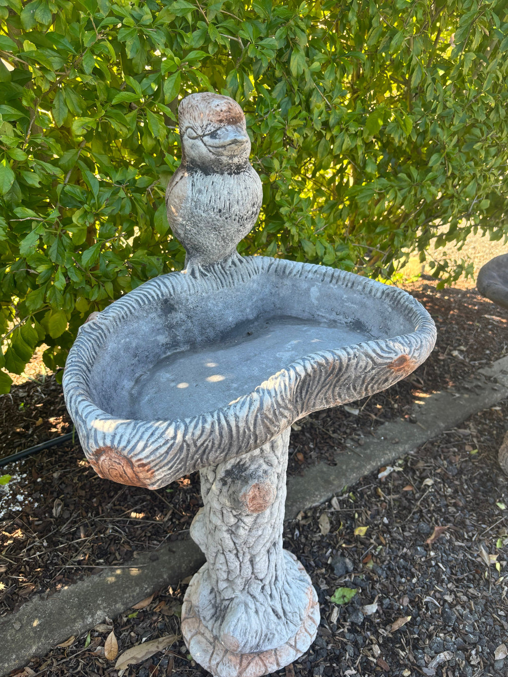 concrete bird bath featuring a detailed kookaburra on a rustic tree-style pedestal in a garden.