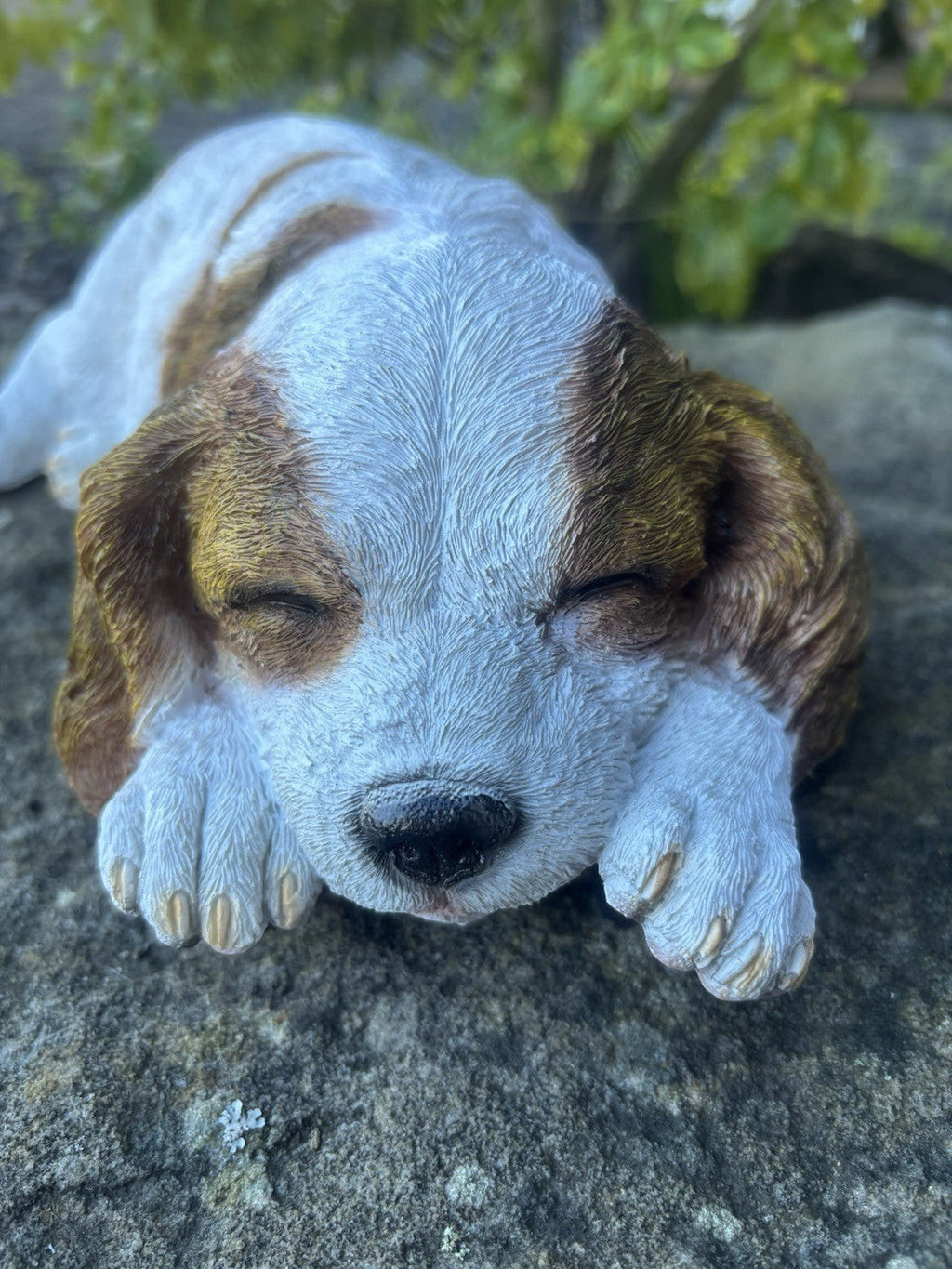 resin Cavalier King Charles Spaniel ornament in a peaceful laying pose with realistic detail