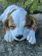 resin Cavalier King Charles Spaniel ornament in a peaceful laying pose with realistic detail