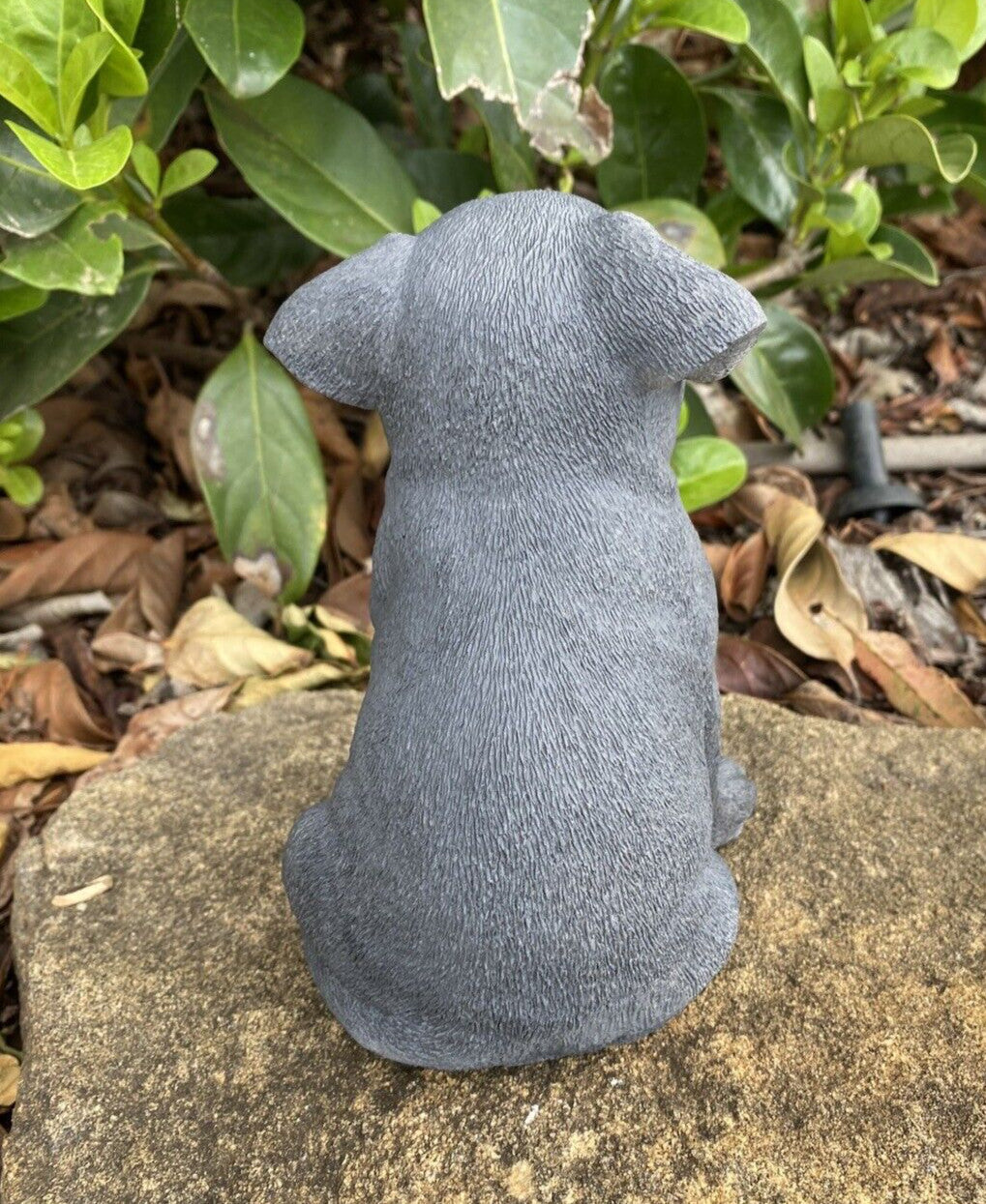 Back view of concrete Staffordshire bull terrier  garden statue solid cement outdoor ornament