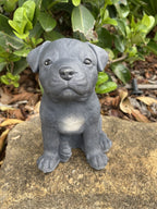Close up detail of Staffordshire bull terrier concrete  garden statue textured cement finish