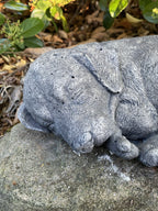 Close up detail of concrete beagle garden statue textured cement finish