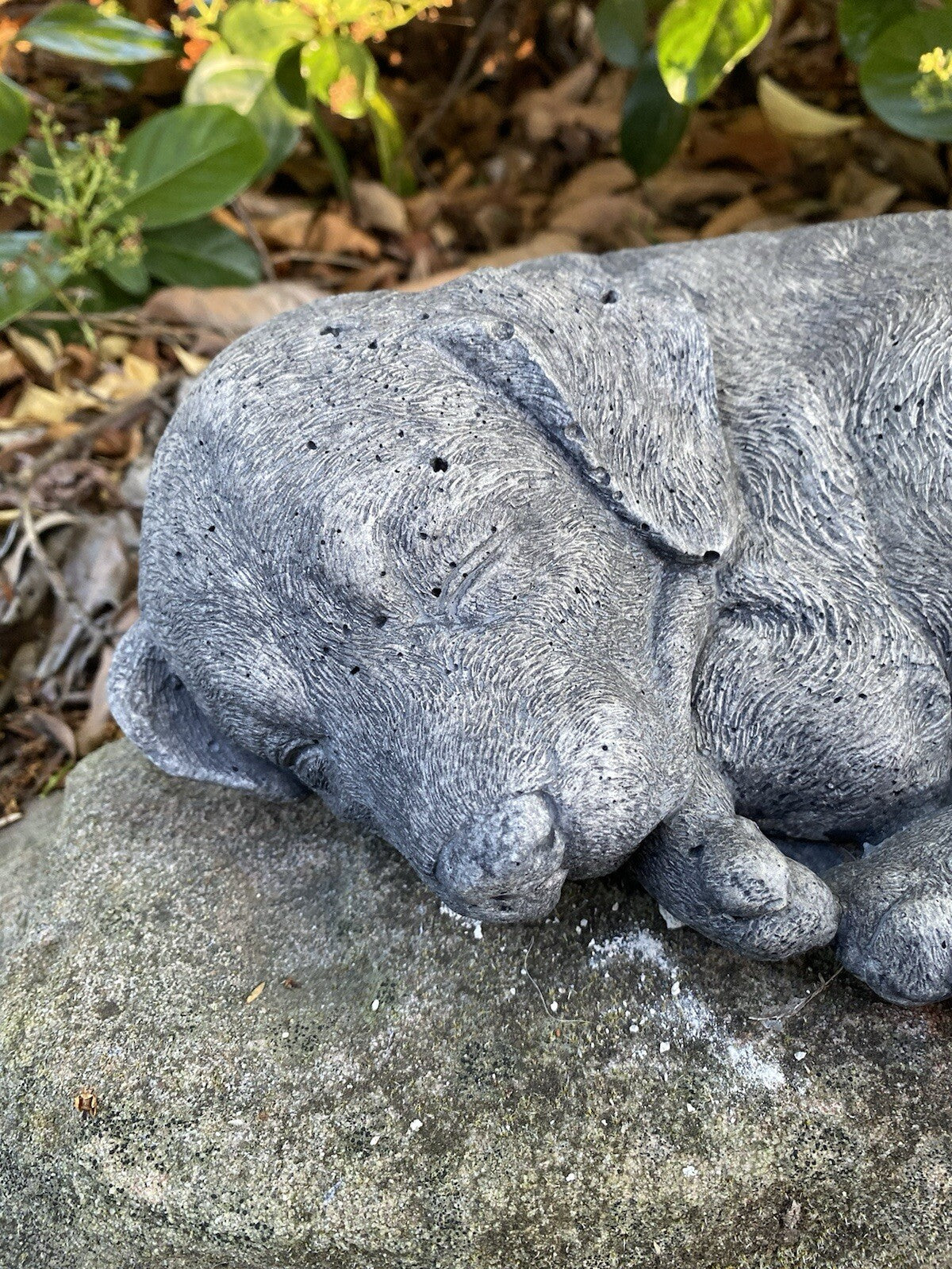 Close up detail of concrete beagle garden statue textured cement finish