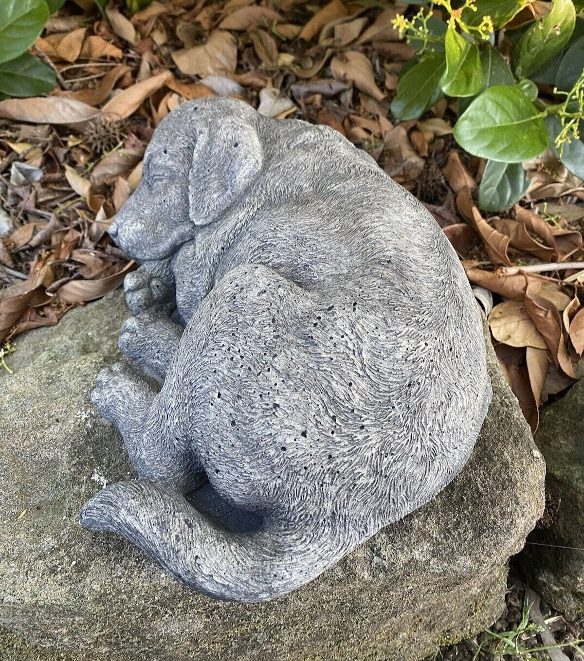 Side view of concrete beagle garden statue outdoor dog ornament