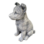 Blue Heeler concrete garden statue outdoor dog ornament