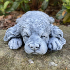 close up deatol of Concrete sleeping cavoodle garden statue outdoor cement dog ornament