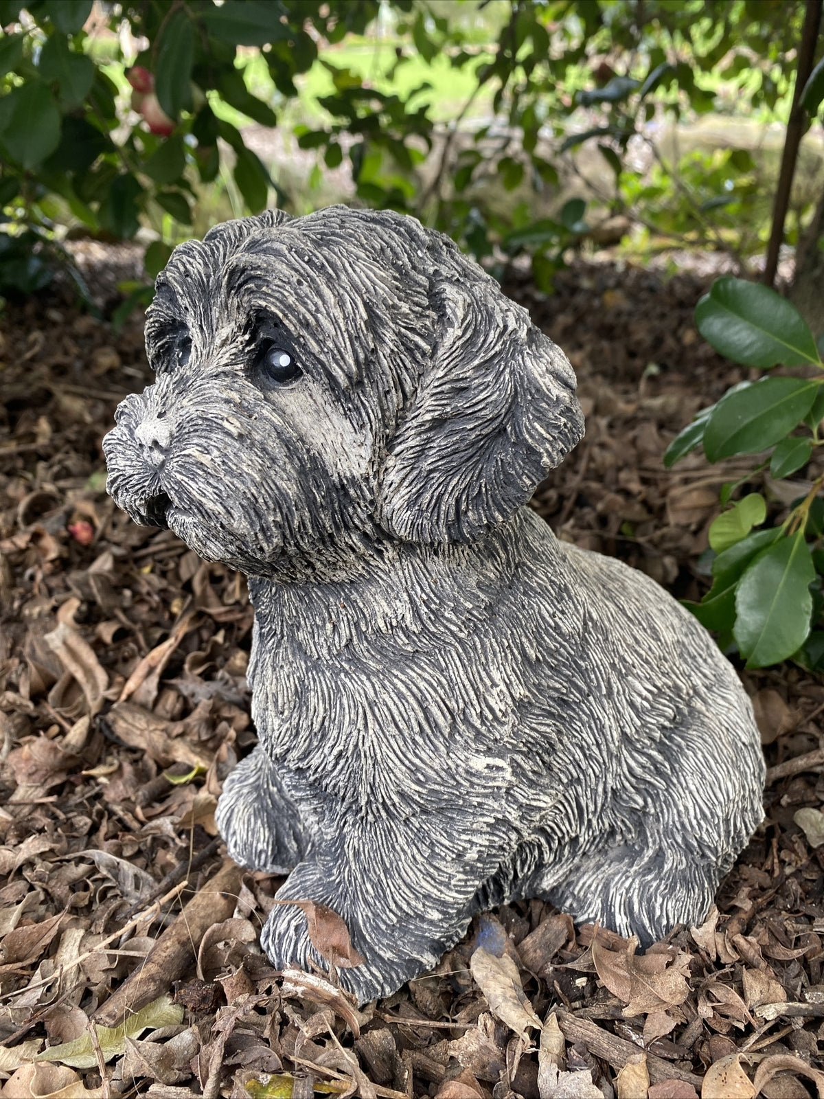 Side view concrete Cavoodle garden statue solid cement outdoor ornament