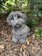 Front view concrete Cavoodle garden statue outdoor cement dog ornament