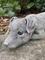 Concrete fox terrier garden statue detail view outdoor cement dog ornament