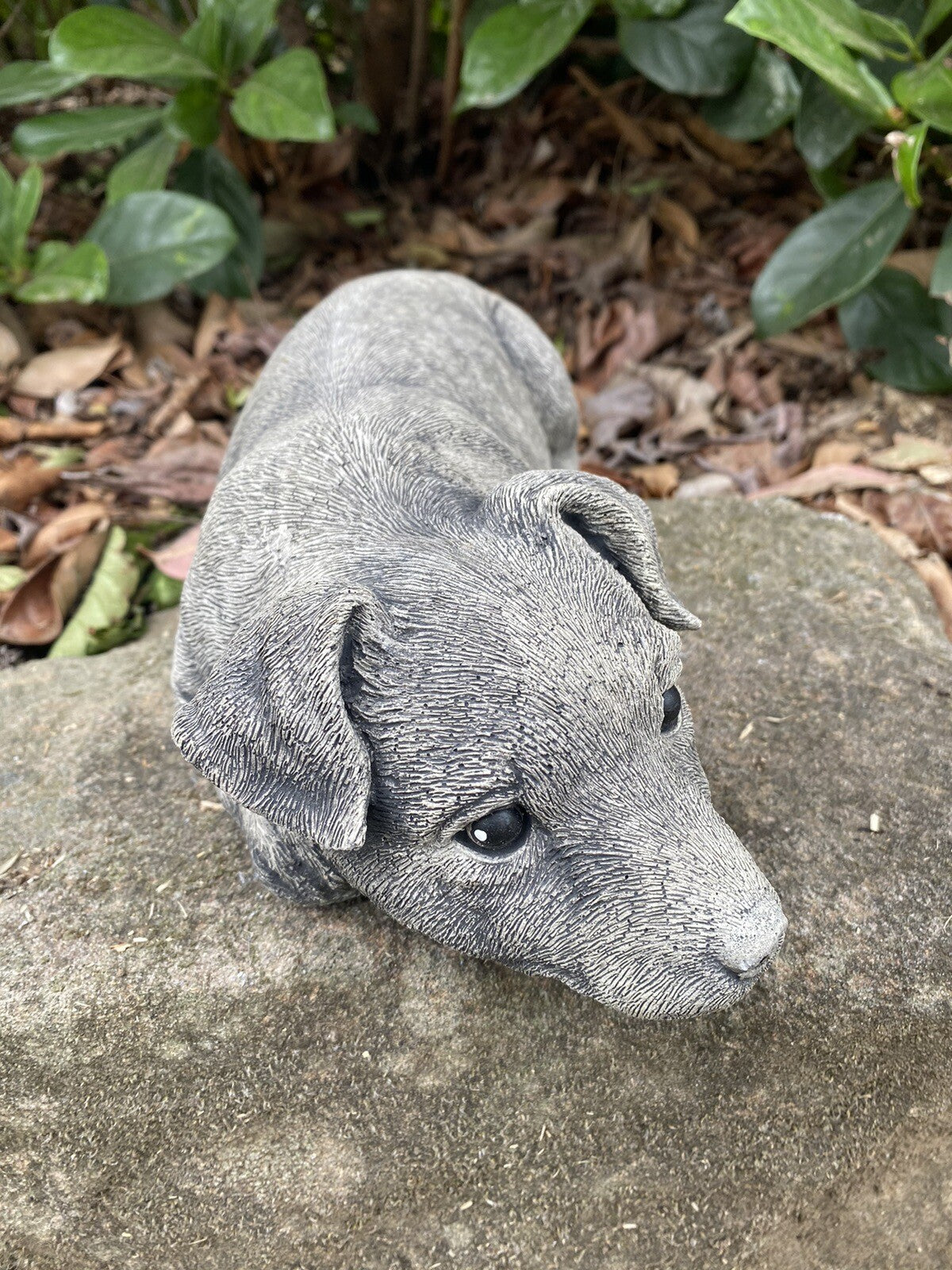 Concrete Fox terrier garden statue side view outdoor cement dog ornament