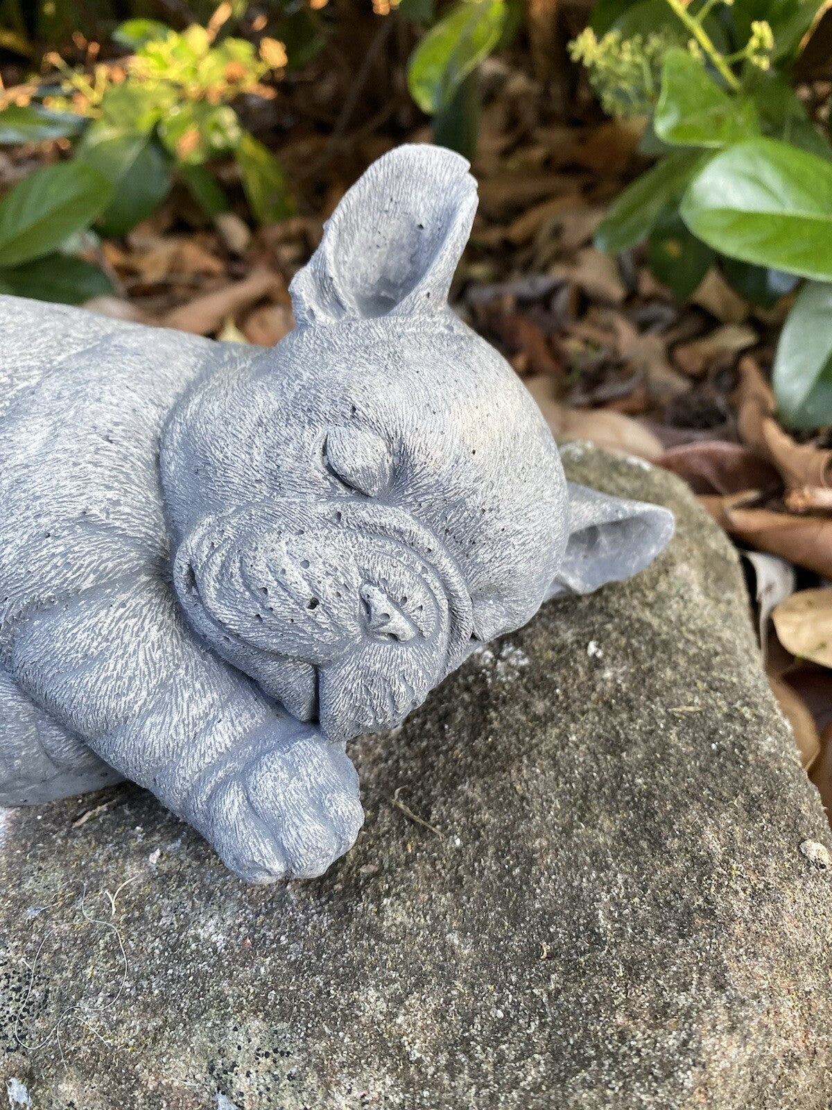 Close up detail of concrete french bulldoggarden statue textured cement finish