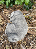 Back view concrete laying Pug garden statue outdoor cement dog ornament