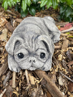 Close up detail of concrete laying Pug garden statue textured cement finish