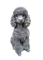 Concrete poodle garden statue front view outdoor cement dog ornament