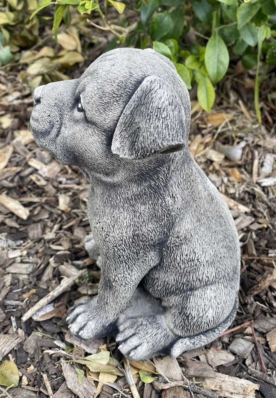 Concrete staffy garden statue front view outdoor cement dog ornament