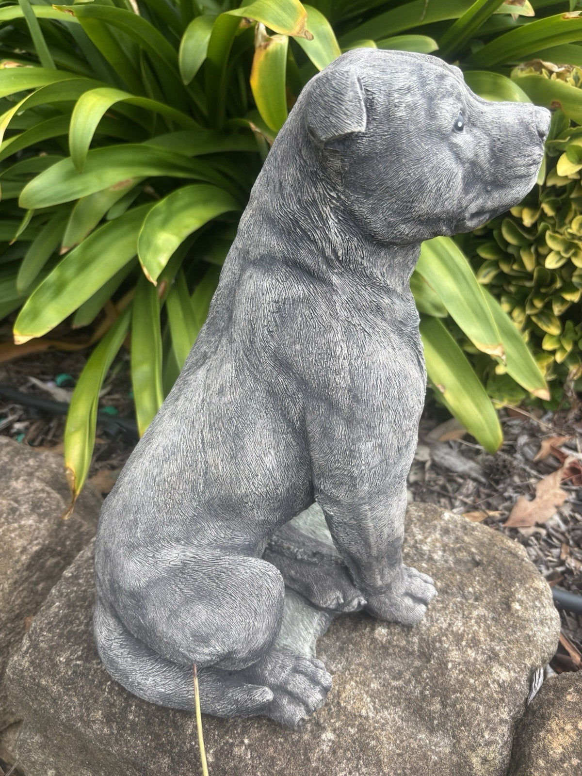 Side view concrete Staffordshire Bull Terrier garden statue solid cement outdoor ornament