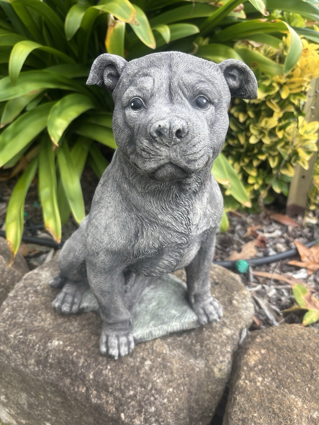 Close up detail of concrete Staffordshire Bull Terrier garden statue textured cement finish