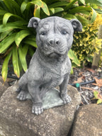 Close up detail of concrete Staffordshire Bull Terrier garden statue textured cement finish