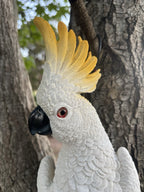22nice4me Garden Statues white cockatoo wall plaque with yellow crest and textured feather details on tree background