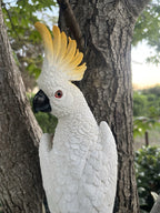 22nice4me Garden Statues white cockatoo wall plaque with yellow crest and detailed resin feathers mounted on a tree