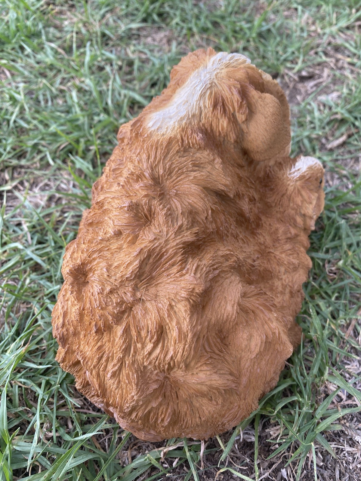 ABYSSINIAN GUINEA PIG CAVY  ANIMAL GARDEN STATUE ORNAMENT FIGURINE BROWN COLOUR