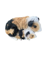ABYSSINIAN GUINEA PIG CAVY  ANIMAL GARDEN STATUE ORNAMENT FIGURINE TRI COLOUR