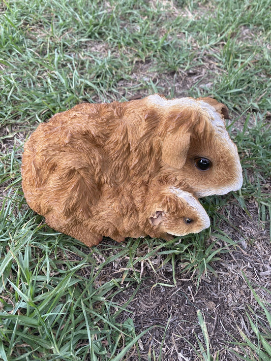 ABYSSINIAN GUINEA PIG CAVY  ANIMAL GARDEN STATUE ORNAMENT FIGURINE BROWN COLOUR