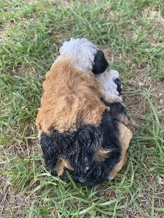 ABYSSINIAN GUINEA PIG CAVY  ANIMAL GARDEN STATUE ORNAMENT FIGURINE TRI COLOUR