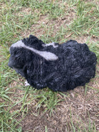 ABBYSSINIAN GUINEA PIG CAVY  ANIMAL GARDEN STATUE ORNAMENT FIGURINE BLACK COLOUR