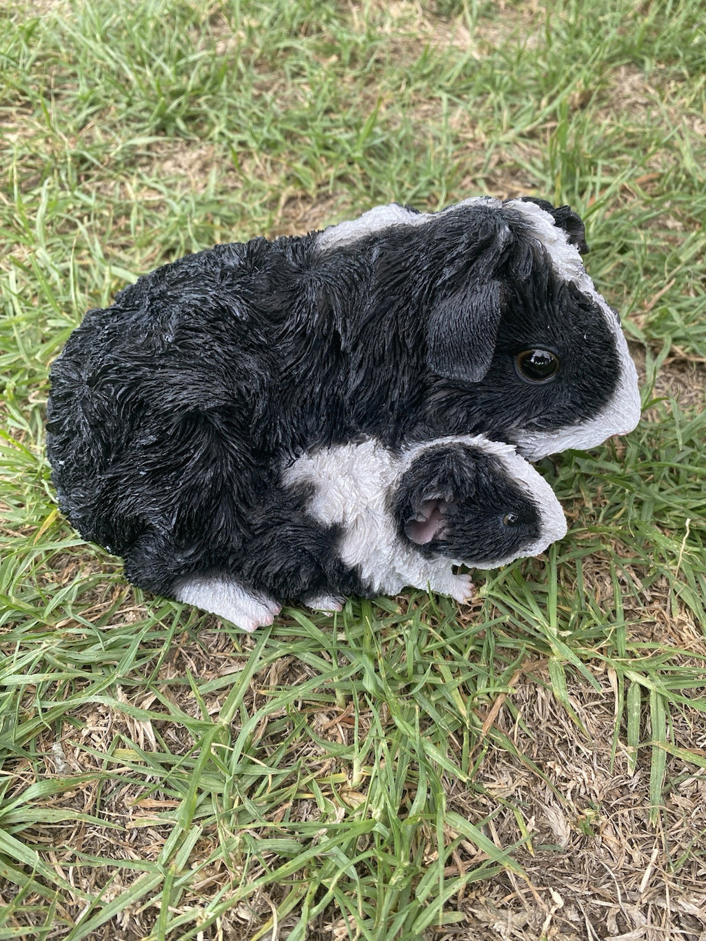 ABBYSSINIAN GUINEA PIG CAVY  ANIMAL GARDEN STATUE ORNAMENT FIGURINE BLACK COLOUR