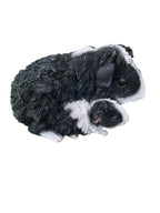 ABBYSSINIAN GUINEA PIG CAVY  ANIMAL GARDEN STATUE ORNAMENT FIGURINE BLACK COLOUR