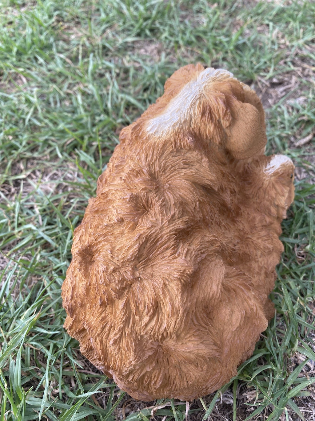 ABYSSINIAN GUINEA PIG CAVY  ANIMAL GARDEN STATUE ORNAMENT FIGURINE BROWN COLOUR