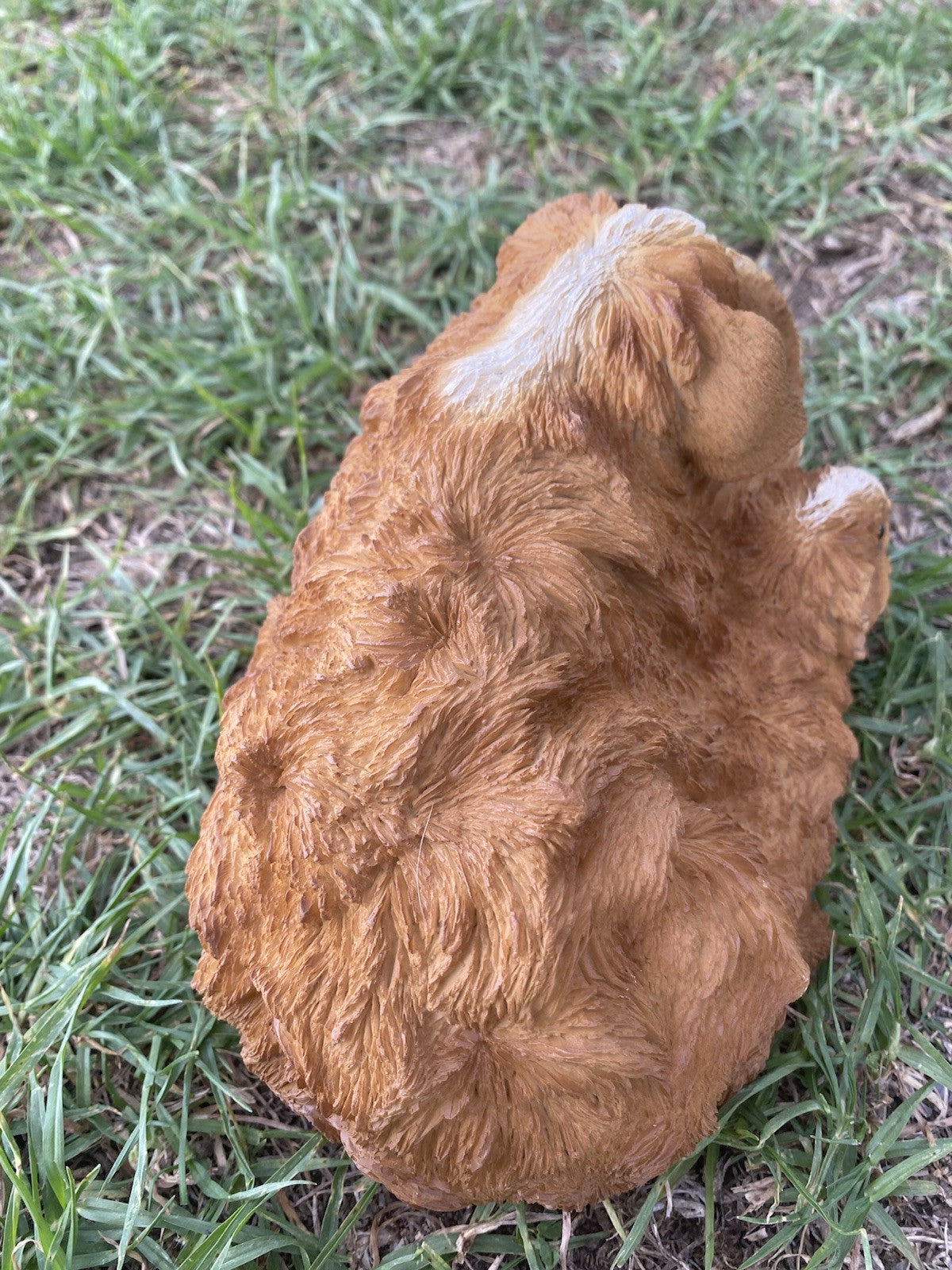 ABYSSINIAN GUINEA PIG CAVY  ANIMAL GARDEN STATUE ORNAMENT FIGURINE BROWN COLOUR