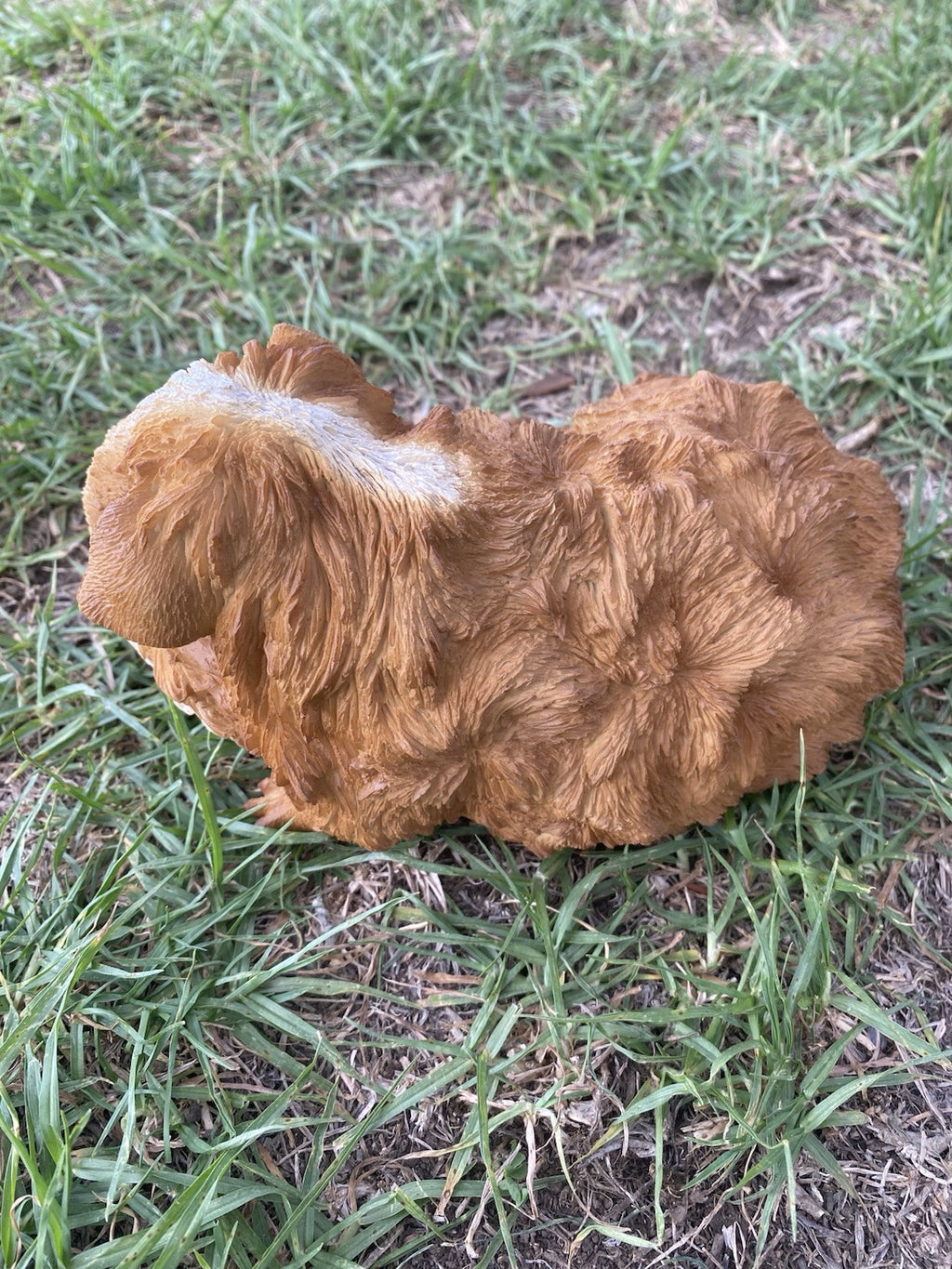 ABYSSINIAN GUINEA PIG CAVY  ANIMAL GARDEN STATUE ORNAMENT FIGURINE BROWN COLOUR