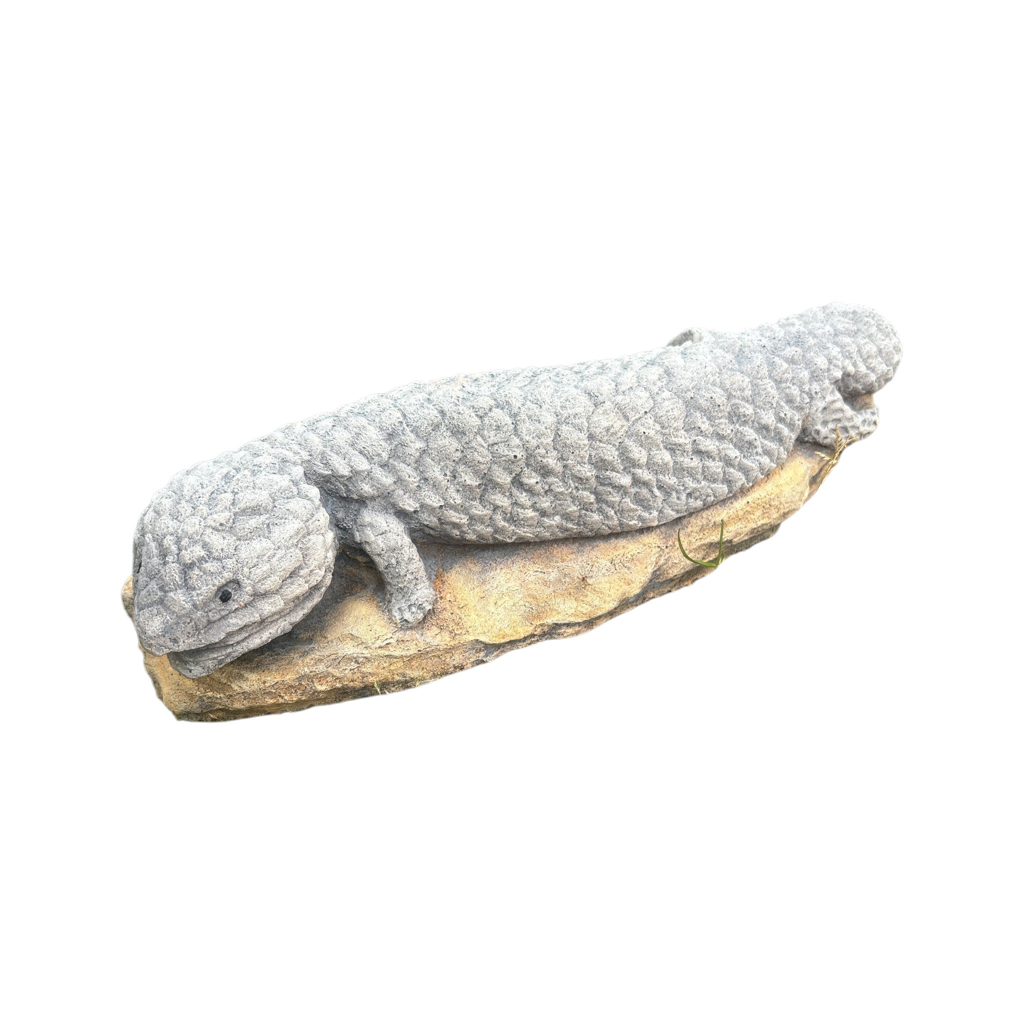 Shingleback Lizard Statue Ornament Animal Cement Concrete Garden Australian Made
