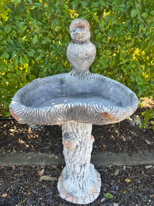 large concrete bird bath featuring a detailed kookaburra and rustic tree pedestal in a garden